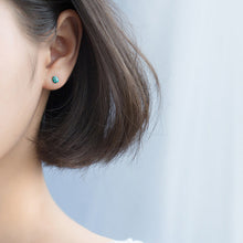 Load image into Gallery viewer, Ladybug Earrings