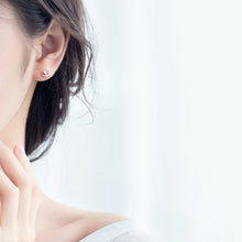 Load image into Gallery viewer, Love Bird Earrings