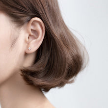 Load image into Gallery viewer, Silver Scintilla Earrings