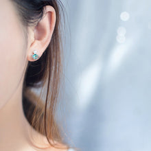 Load image into Gallery viewer, Supernal World Earrings