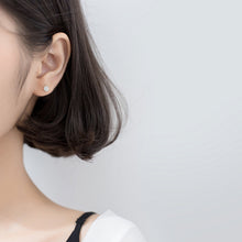 Load image into Gallery viewer, Rose Hulya Earrings