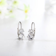 Load image into Gallery viewer, Biela Snow Earrings