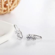 Load image into Gallery viewer, Biela Snow Earrings