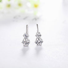 Load image into Gallery viewer, Biela Snow Earrings