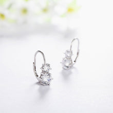 Load image into Gallery viewer, Biela Snow Earrings