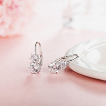 Load image into Gallery viewer, Biela Snow Earrings