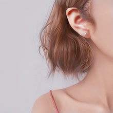 Load image into Gallery viewer, Tiny Tear Drop Earrings