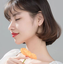 Load image into Gallery viewer, Rainbow Hoops